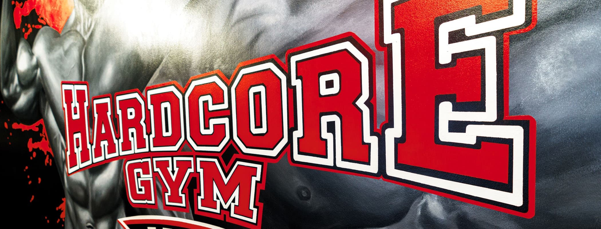 Hardcore Gym Aarau - 24/7 Fitness Studio in der Schweiz